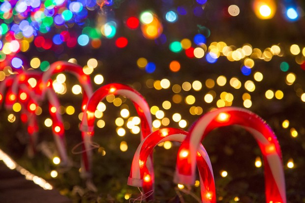 Lt-up candy canes in a row